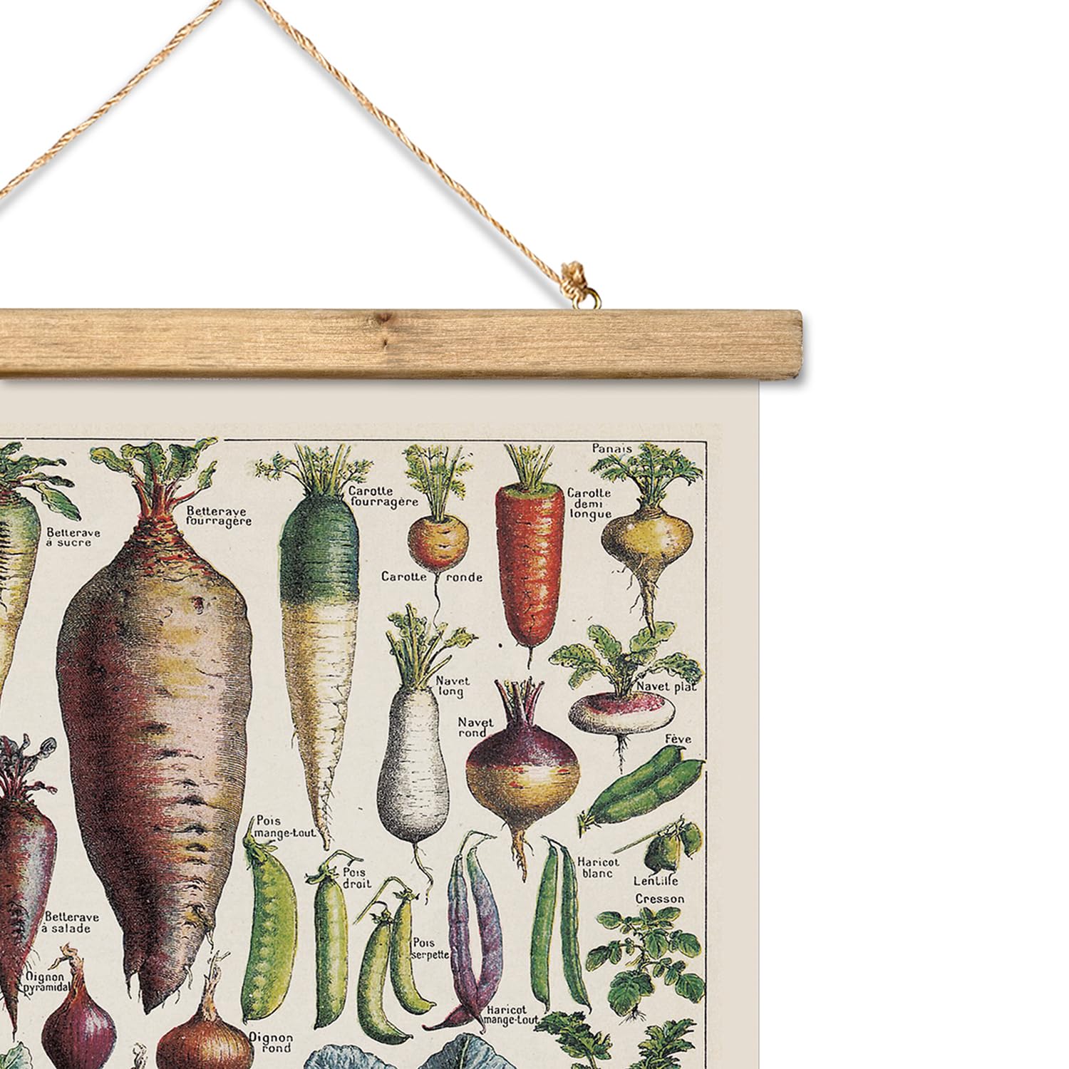 Amazon.com: XIAOAIKA Vintage Vegetable Varieties Poster